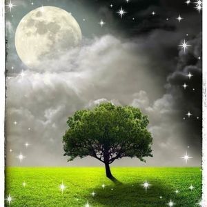 Meet your Posher, Mariza